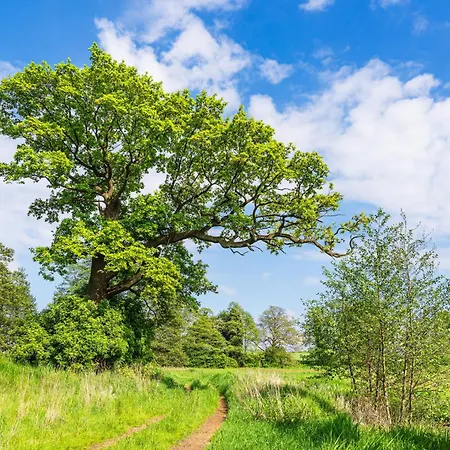 2 Апартаменты *