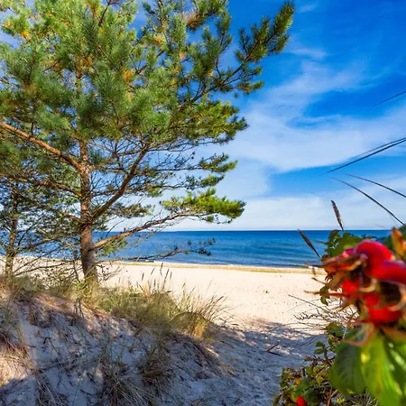 Апартаменты 2 *